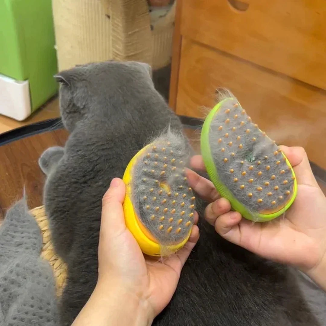 Electric Steam Brush for Pets