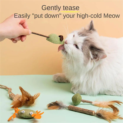 Edible Catnip Ball Cat Toy